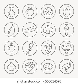 Conjunto de iconos de la línea delgada vegetal