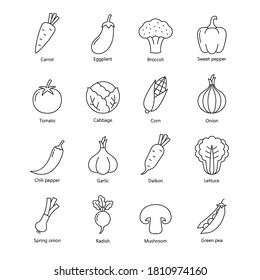 Vegetables thin line icons collection set, Outline simple design, Isolated on white background, Vector Illustration