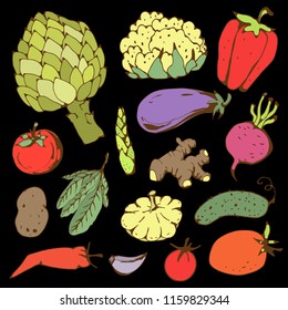 Vegetables. Tomato, peppers,  garlic, cucumber, potatoes, asparagus, cauliflower, patisson, artichoke, eggplant, beet, ginger, leaves. Hand drawn isolated on black background set