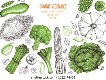 Vegetables top view frame. Farmers market menu design template. Organic vegetables food poster. Vintage hand drawn sketch vector illustration. Linear graphic. Engraved style.