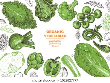 Vegetables top view frame. Farmers market menu design template. Organic vegetables food poster. Vintage hand drawn sketch vector illustration. Linear graphic. Engraved style.