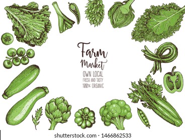 Vegetables top view frame. Farmers market menu design template. Organic vegetables food poster. Vintage hand drawn sketch vector illustration. Green plants. 
