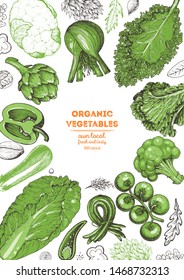 Vegetables top view frame. Farmers market menu design template. Organic vegetables food poster. Vintage hand drawn sketch vector illustration. Linear graphic. Engraved style