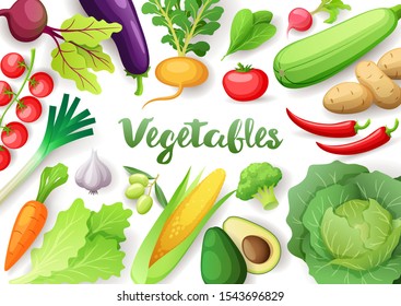 Vegetables top view frame. Farmers market menu design. Colorful fresh vegetables, organic healthy food, vector illustration