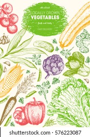 Vegetables top view frame. Farmers market menu design. Organic food poster. Vintage hand drawn sketch vector illustration. Linear graphic.