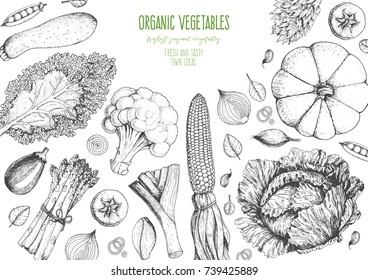 Vegetables top view frame. Farmers market menu design template. Organic vegetables food poster. Vintage hand drawn sketch vector illustration. Linear graphic. Engraved style.