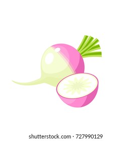 Vegetables. Turnip, whole and half. Vector illustration cartoon flat icon isolated on white.