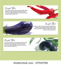 Vegetables vector background. Banner design with a chilli, olive and aubergine 