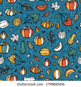 Vegetables Vector Background. Different Varieties of Pumpkins and Leaves Seamless Pattern. Autumn Harvest Symbols. Hand Drawn Doodle Pumpkin and leaf. Thanksgiving Day