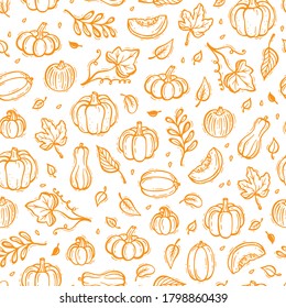 Vegetables Vector Background. Different Varieties of Pumpkins and Leaves Seamless Pattern. Autumn Harvest Symbols. Hand Drawn Doodle Pumpkin and leaf. Thanksgiving Day