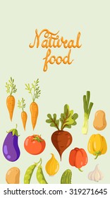 vegetables. vector background. hand painting illustration