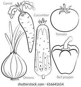 Vegetables. Vector black and white drawing of food. Carrot, onion, tomato, cucumber, pepper.