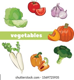 vegetables vector design  and clipart