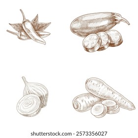 vegetables vector draw vintage style 