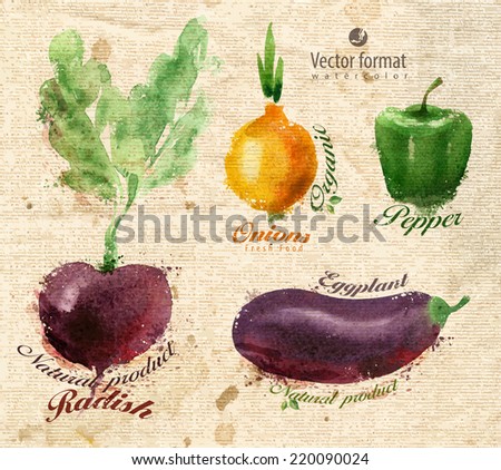 Vegetables. Vector format