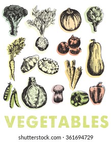 vegetables vector hand drawn