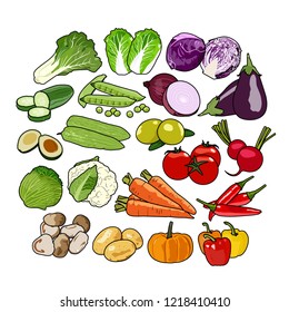 Vegetables Vector. Healthy food vector illustration background.