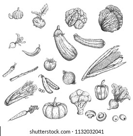 Vegetables. Vector icons. Set.