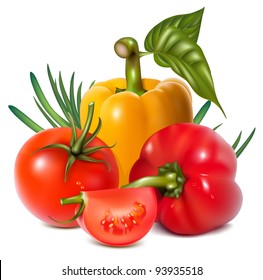 Vegetables. vector illustration