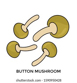 Vegetables vector illustration  mushroom isolated on white background