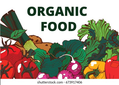 vegetables vector illustration on white background , vegetarian set, freehand drawing , beautiful banner
