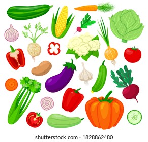 Vegetables vector illustration set. Cartoon flat veg collection of tomato carrot eggplant cabbage pepper pumpkin cucumber garlic onion slices, vegetarian fresh farm market food set isolated on white