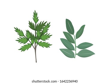 Vegetables Vector Illustrations - Vector isolated icons illustration