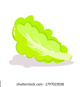 vegetables vector on white background