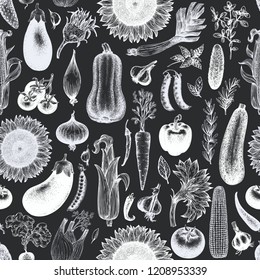 Vegetables vector seamless pattern. Hand drawn illustrations on chalk board. Vintage engraved style background. Can be use for menu, label, packaging, farm market