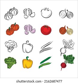 Verduras. Conjunto vectorial de iconos dibujados a mano. Ilustración de las hortalizas de color y monocromo: calabaza, ajo, tomate, cebolla, brócoli, pimienta, guisantes, remolacha. Diseño de productos agrícolas, tienda vegetariana