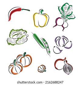 Gemüse. Vektorset von handgezeichneten Symbolen. Illustration von buntem und einfarbigem Gemüse: Kürbis, Knoblauch, Kohl, Zwiebeln, scharfe Paprika, Erbsen, Rüben. Design für landwirtschaftliche Erzeugnisse.