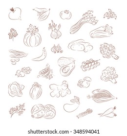 Vegetables vector set. Vegetables icons.