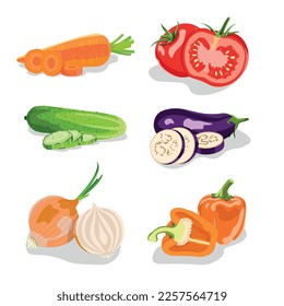 Ilustración de conjunto vectorial de verduras. Alimentos saludables. Planta de huevos, pepino, tomate, zanahoria, cebolla, pimiento de timbre. Vegeteriano