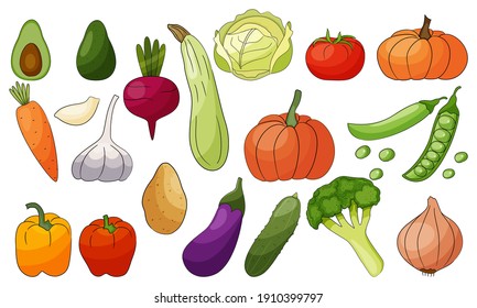 Vegetables vector set isolated on white background. Nature illustration.