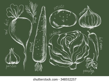 vegetables vector set-dark green