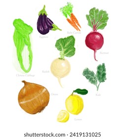 vegetables vector, watercolor vegetables, veggies vector