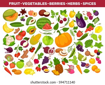 vegetables or veggies farmer harvest, exotic tropical juicy fruits, forest or garden berries and herbal spices or spicy condiments and seasonings. Vector isolated icons set