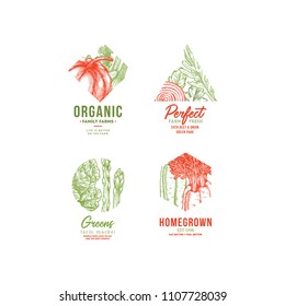 Vegetables vintage logo collection. Engraved logotype set.  Vector illustration