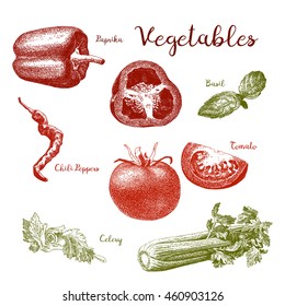 Verduras. Conjunto de verduras de Antiguas aisladas sobre fondo blanco. Tinta y lápiz retro vintage ilustración botánica.