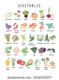 Vegetables Vocabulary Poster – Illustrated Learning Chart for Kids. Colorful educational poster featuring illustrations of vegetables with names. Great for kids' learning, schools, and kitchen decor