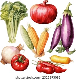 Vegetables Watercolor illustration. Hand drawn underwater element design. Artistic vector marine design element. Illustration for greeting cards, printing and other design projects.