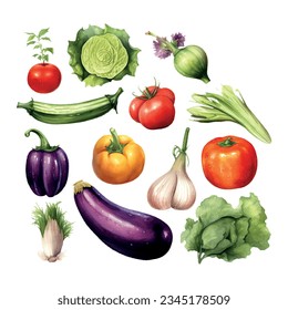 Vegetables watercolor in retro hand drawn style on white background. Summer element vector illustration.