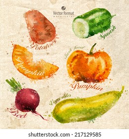 Vegetables. Watercolor. Vector format