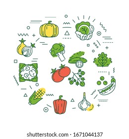 Vegetables web banner. Healthy, organic food. Infographics with linear icons on white background. Creative idea concept. Isolated outline color illustration.