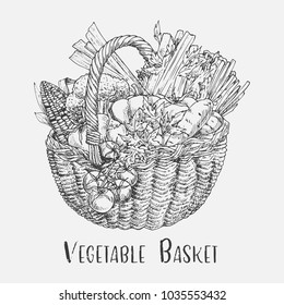 Vegetables in wicker basket or pad, ped. Sketch of tomato and corn, carrot and pumpkin, broccoli or brocco cabbage. Vegetarian nutrition and food, harvest and agriculture, edible grocery theme