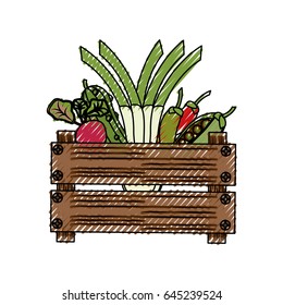 Vegetables in wooden box