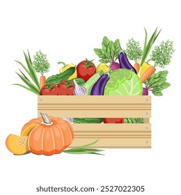 Vegetais em uma caixa de madeira repolho, abóbora, tomate, alho, cebola, pimenta, abobrinha, berinjela, pepino em um fundo branco.Composição vetor para supermercados, mercados.