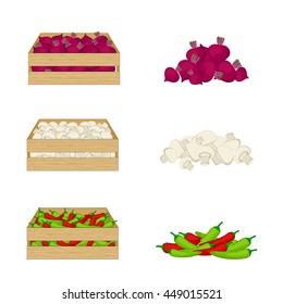 Vegetables in wooden boxes isolated on white background. Beetroot, mushrooms, chilli.  Organic food illustration. Fresh vegetables from the farm. Vector.