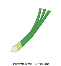 Vegetables.Vector food illustrations of leek. isolated on white background.