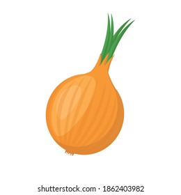ilustración vektor gráfico del icono aislado de la cebolla vegetal fresca. Cebolla para el mercado agrícola, diseño de recetas de ensaladas vegetarianas. ilustración vectorial en estilo plano